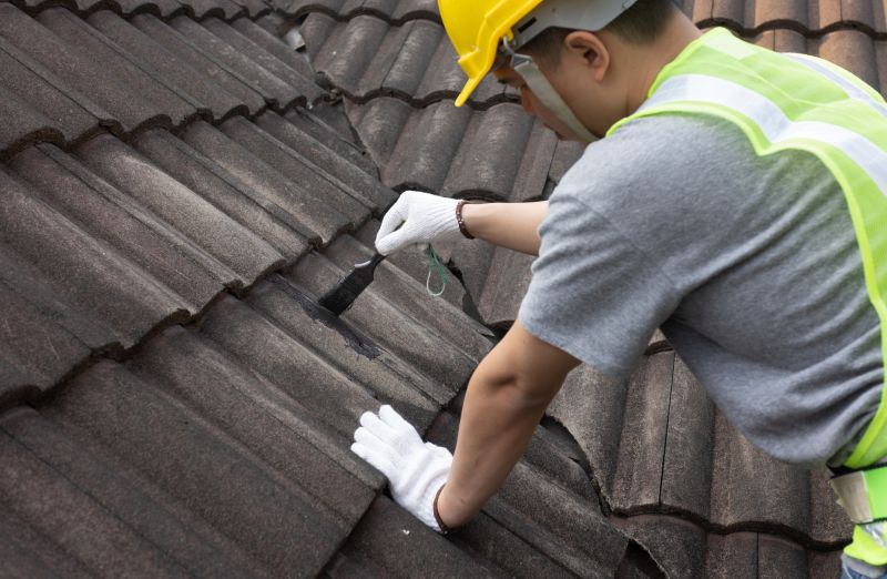 Roof Repair During Spring
